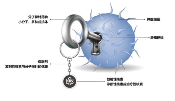 南宫电子游戏-不凡成就非凡,相信品牌的力量