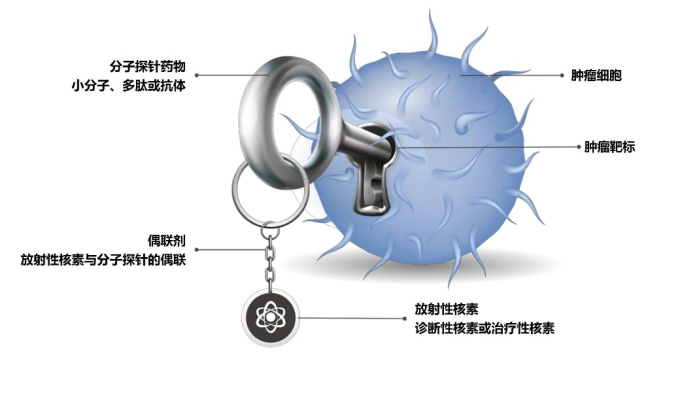 南宫电子游戏医药核药同伴Telix全球创新RDC产品TLX101海表I期钻研完玉成数患者入组